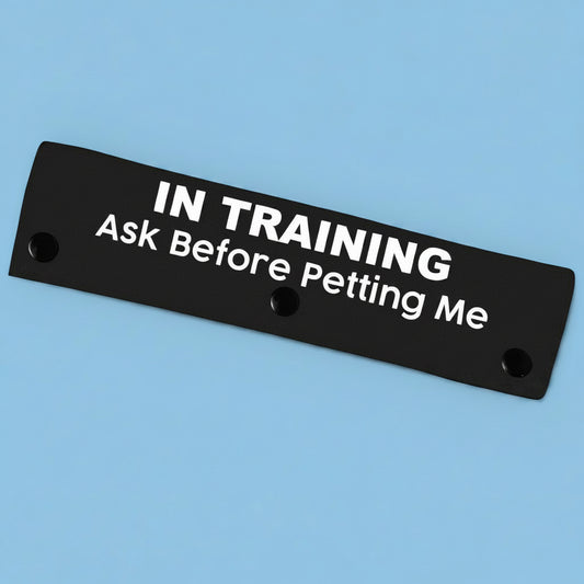 Double-Sided Dog Leash Sleeve – “In Training Ask Before Petting Me” Canvas Leash Wrap for Walking and Training